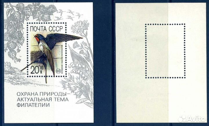 Ласточка у гнезда. 1989 год