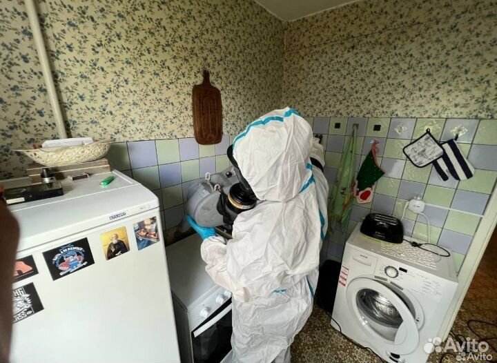 Уничтожение клопов тараканов мышей блох муравьев