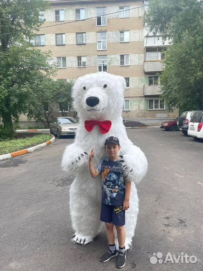 Белый Мишка