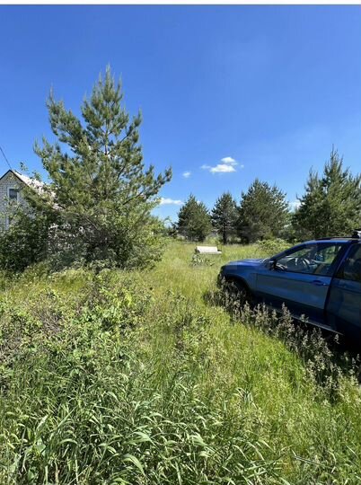 Участок 10 сот. (СНТ, ДНП)