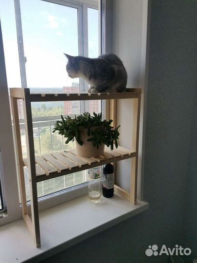 Стеллаж на окно для цветов, рассады и кошек