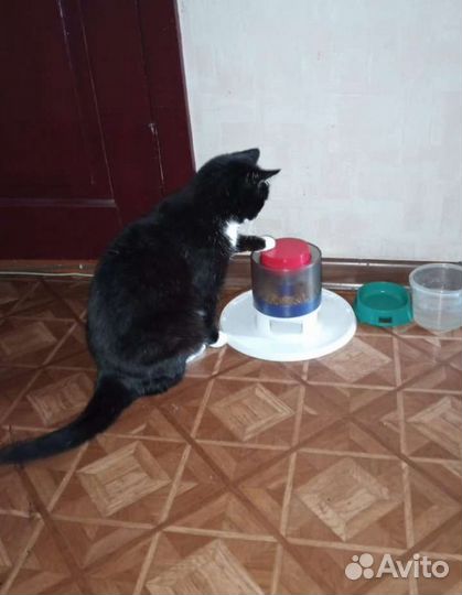 Кормушка для животных