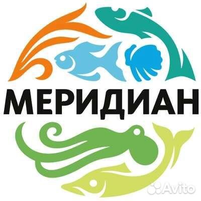 Разнорабочий упаковщик 2800 на производство рыбы