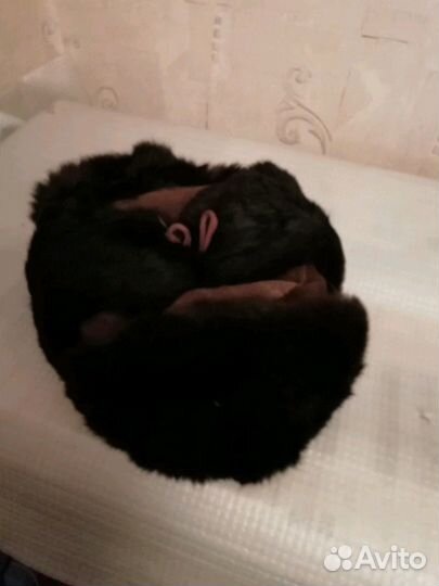 Шапка-ушанка