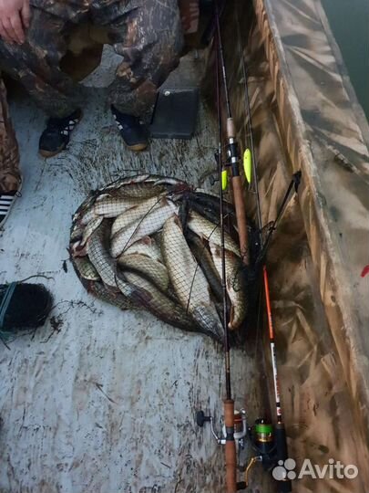 Охота и рыбалка