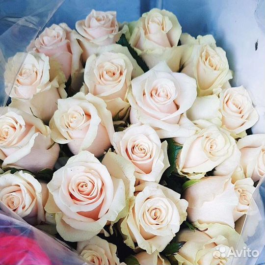 Цветы розы букет