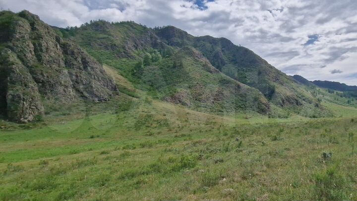 Участок 10 сот. (СНТ, ДНП)