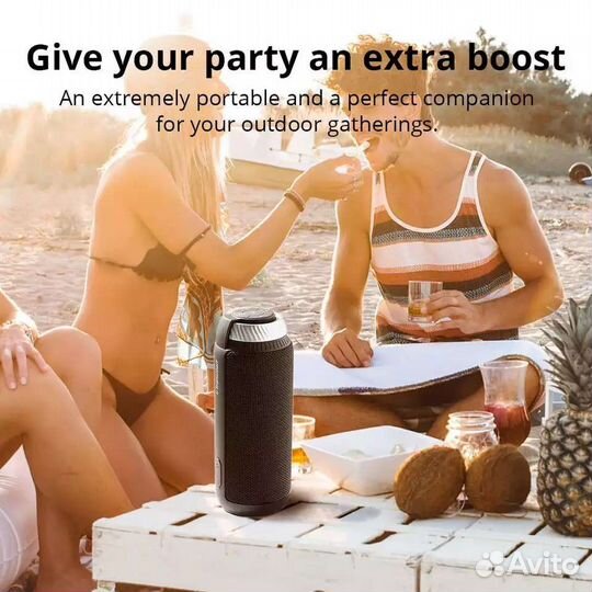 Bluetooth колонка Tronsmart T6