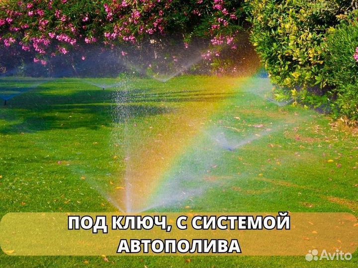 Рулонный газон эконом