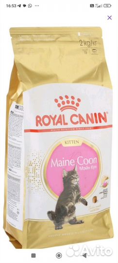 Корм для котят мейнкуна royal canin