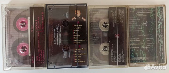 Алиса,Бахыт К, Янка,Сектор,Нау,Зоопарк