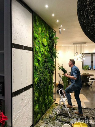 Эко-дизайн: стены из растений. Арт: 215371