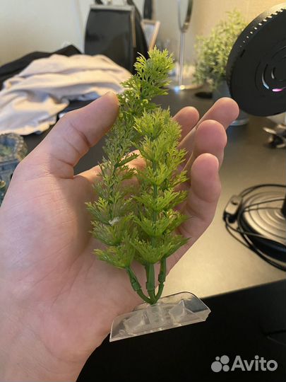 Аквариумные декорации