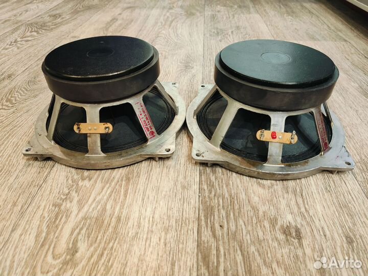 Динамики 10гдш