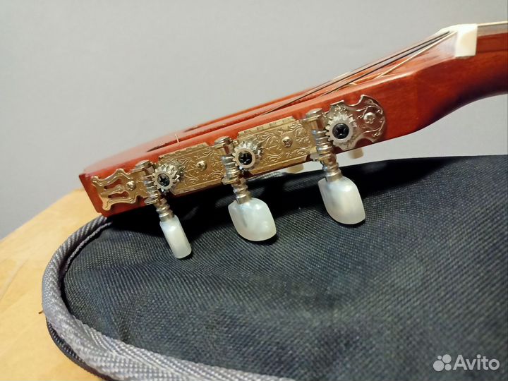 Cort ac100 sg - Полноразмерная Гитара с чехлом нов