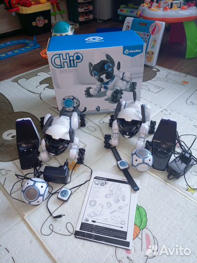 Робот собака chip
