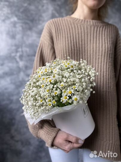 Букет ромашки и гипсофила, полевые ромашки