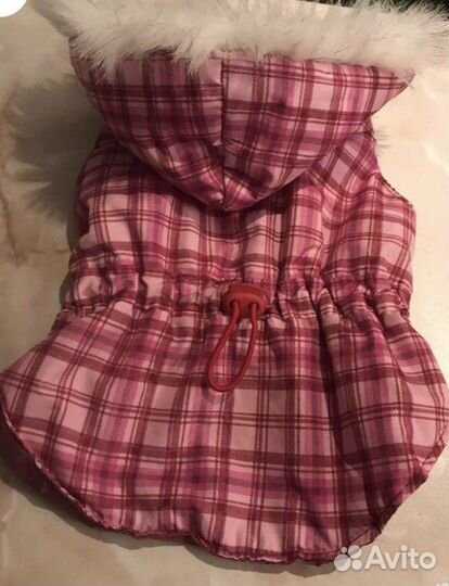 Шлейки, поводки, обувь, куртки, ступеньки