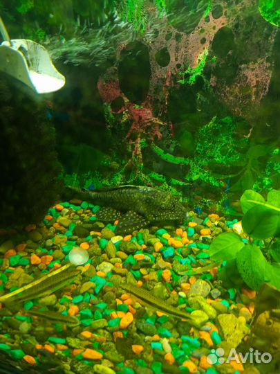 Украшение для аквариума