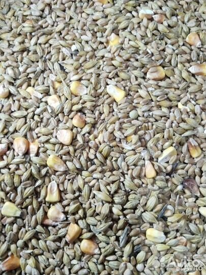 Зерносмесь дроблёная в ассорт, отруби