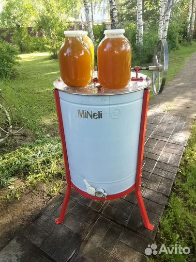 Пасека пчелы