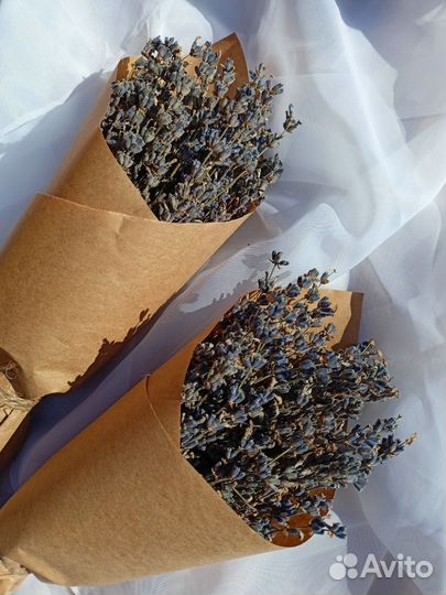 Букет Лаванды 2023года