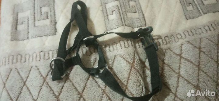 Недоуздок для собак