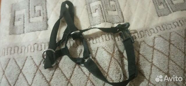 Недоуздок для собак