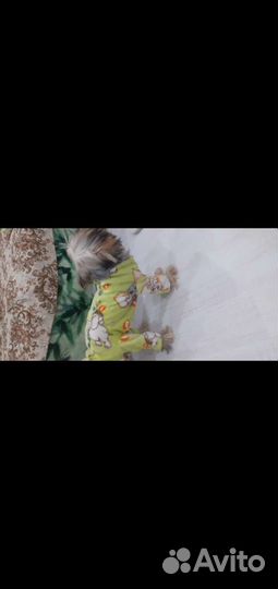 Пижама для собаки