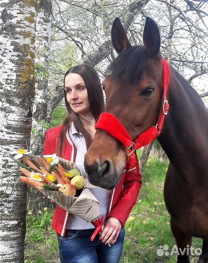 Конюшня Баландино (лошади)