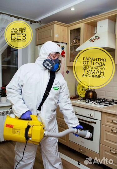 Уничтожение тараканов, клопов, блох и тд