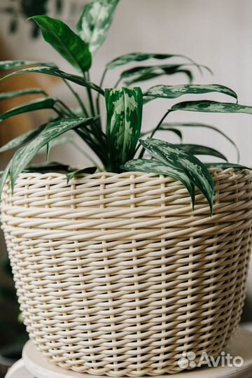 Кашпо горшок для цветов