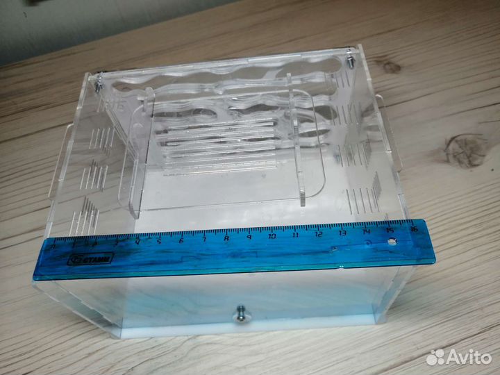 Муравьиная ферма без муравьев