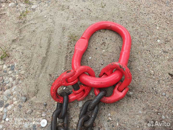 Цепной паук