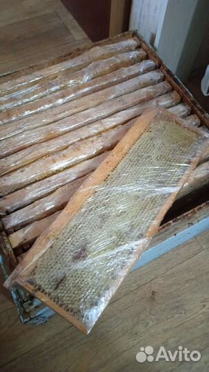 Мед натуральный цветочный