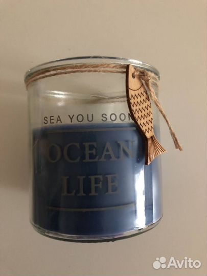 Морская свеча из Нидерландов