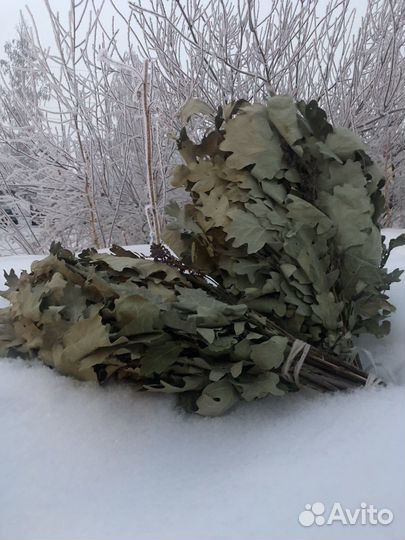 Банный веник, дуб/береза