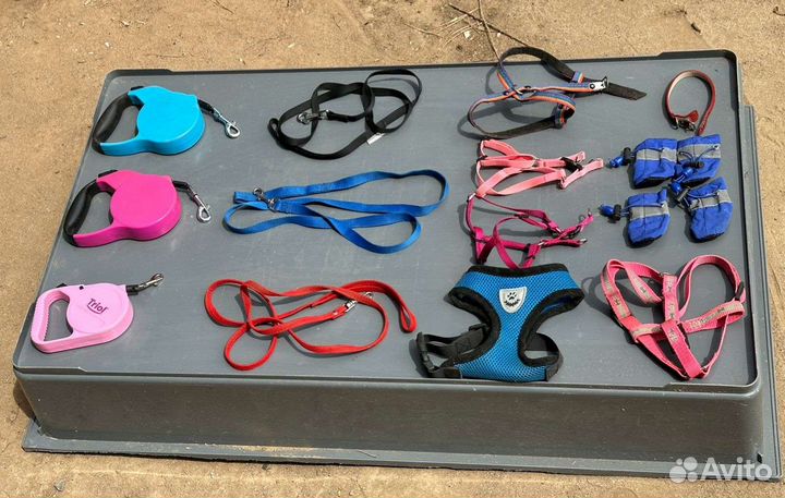 Поводки / шлейки для собак