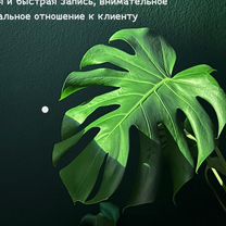 Массаж Академический (тела и лица), Екатеринбург