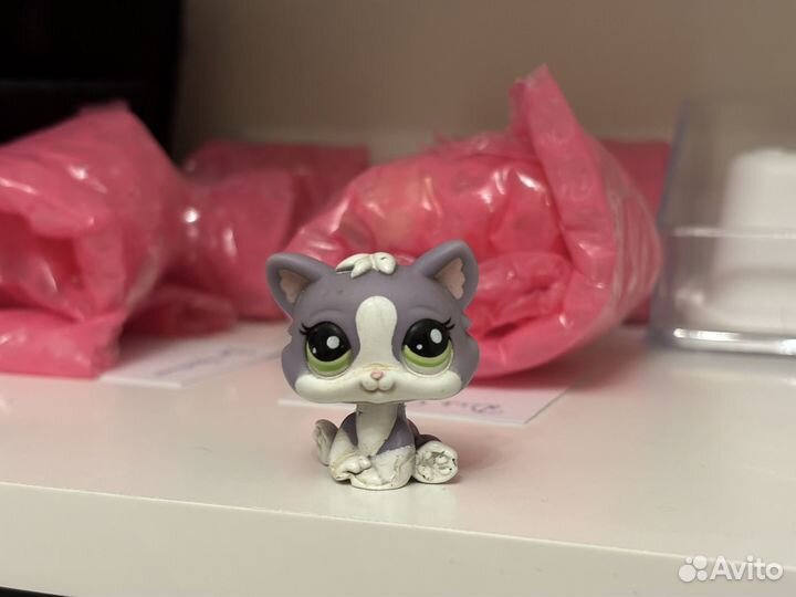 Котенок для Sadness