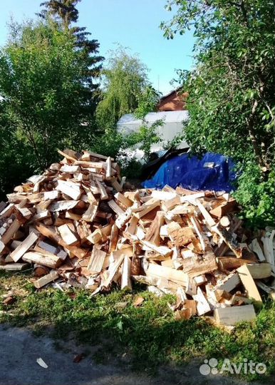 Дрова качественные от 1 куба любых пород древесины