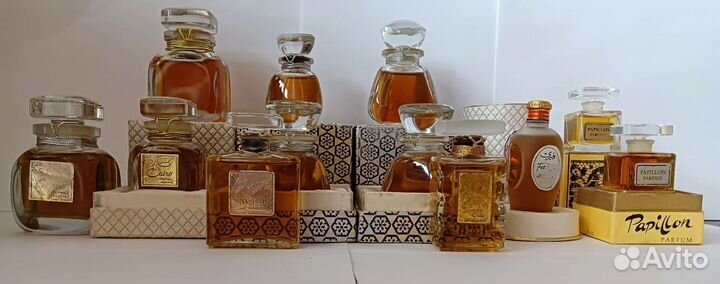 Papillon/Femme chick/Cairo /Gi gi/Favori/Fairy