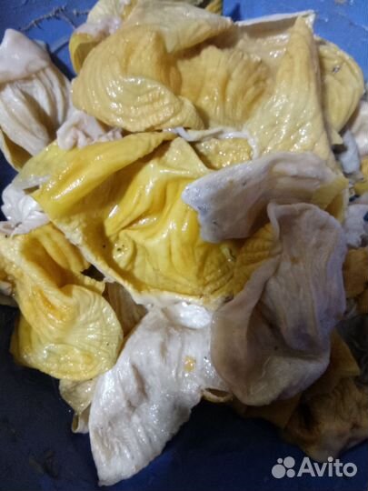 Мздра куриных желудков