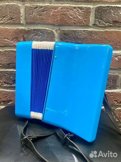 Аккордеон Детский с Ремнями (3-7 лет)