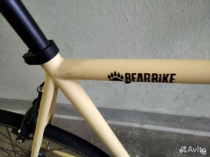 Bearbike Cairo 4.0 2021 58