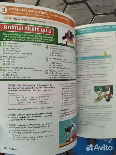 English plus 1. Новый комплект