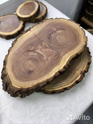Спилы дерева для декора