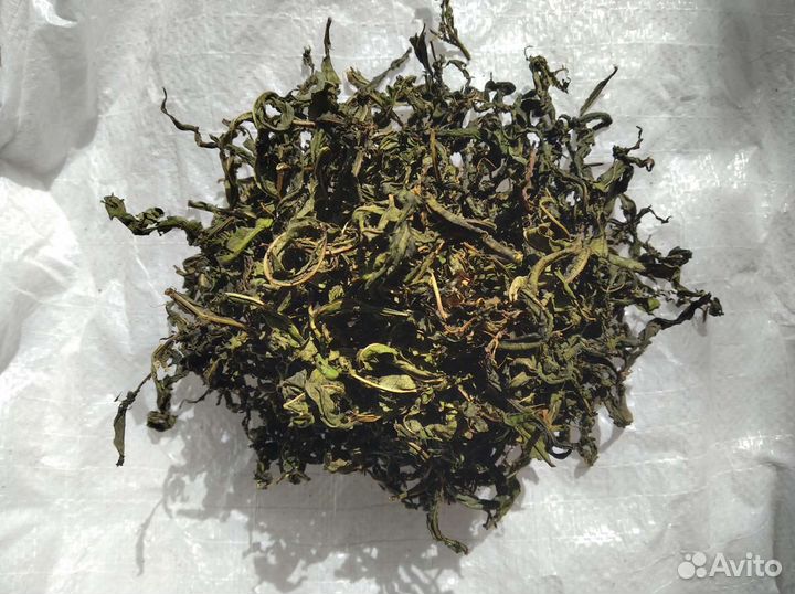 Иван чай крупнолистовой