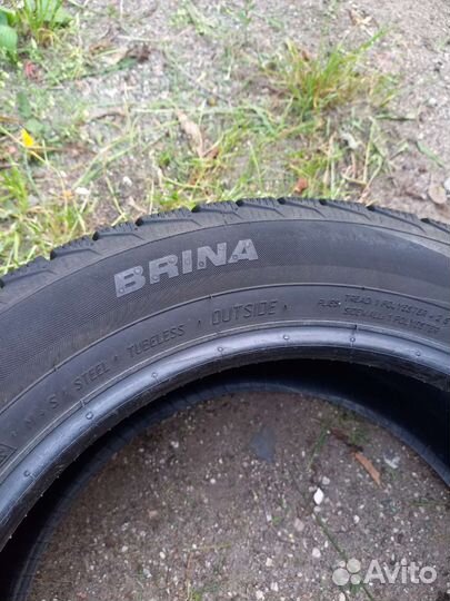 Viatti Brina V-521 195/55 R15
