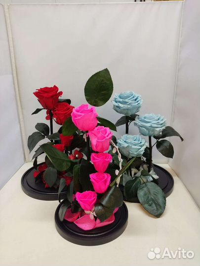 Новогодний подарок / Роза в колбе